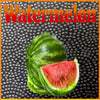 100ML Watermelon e-liquid - SPECIAL PRICE