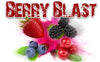 100ML Berry Blast e-liquid - SPECIAL PRICE