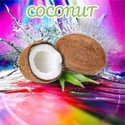100ML Coconut e-liquid - SPECIAL PRICE