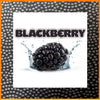 Blackberry flavoured concentrate 20ml