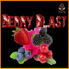 Berry Blast UP TO 50ML NIC SALT