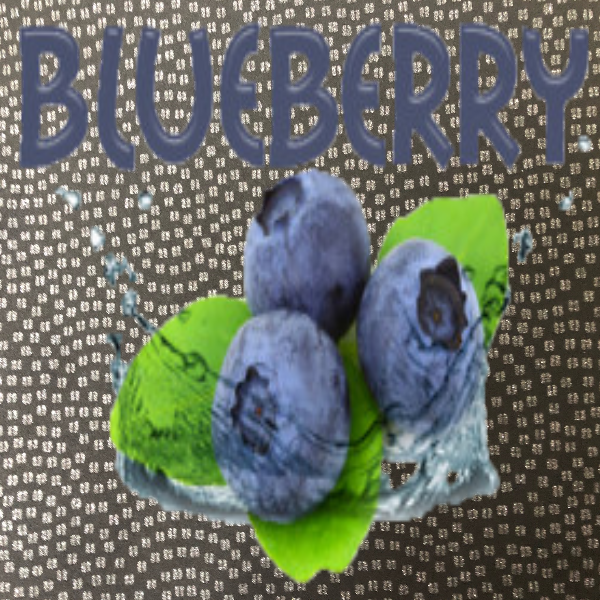 100ML Blueberry e-liquid - SPECIAL PRICE