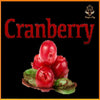 Cranberry UP TO 50ML NIC SALT