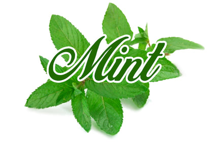 Mint (tobacco base) e-liquid