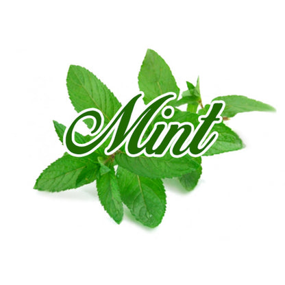 Mint (tobacco base) UP TO 50ML NIC SAL