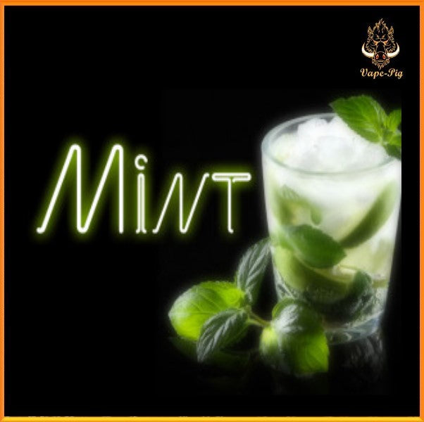 100ML Mint + Tobacco e-liquid (0mg)